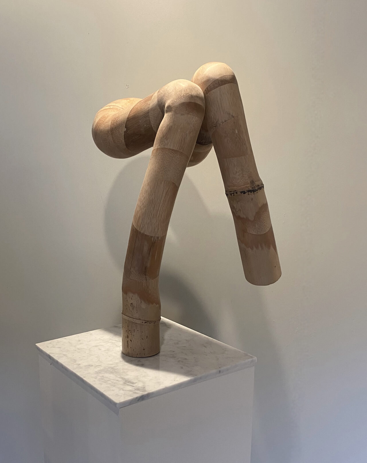 sitting bamboo No.13 _1