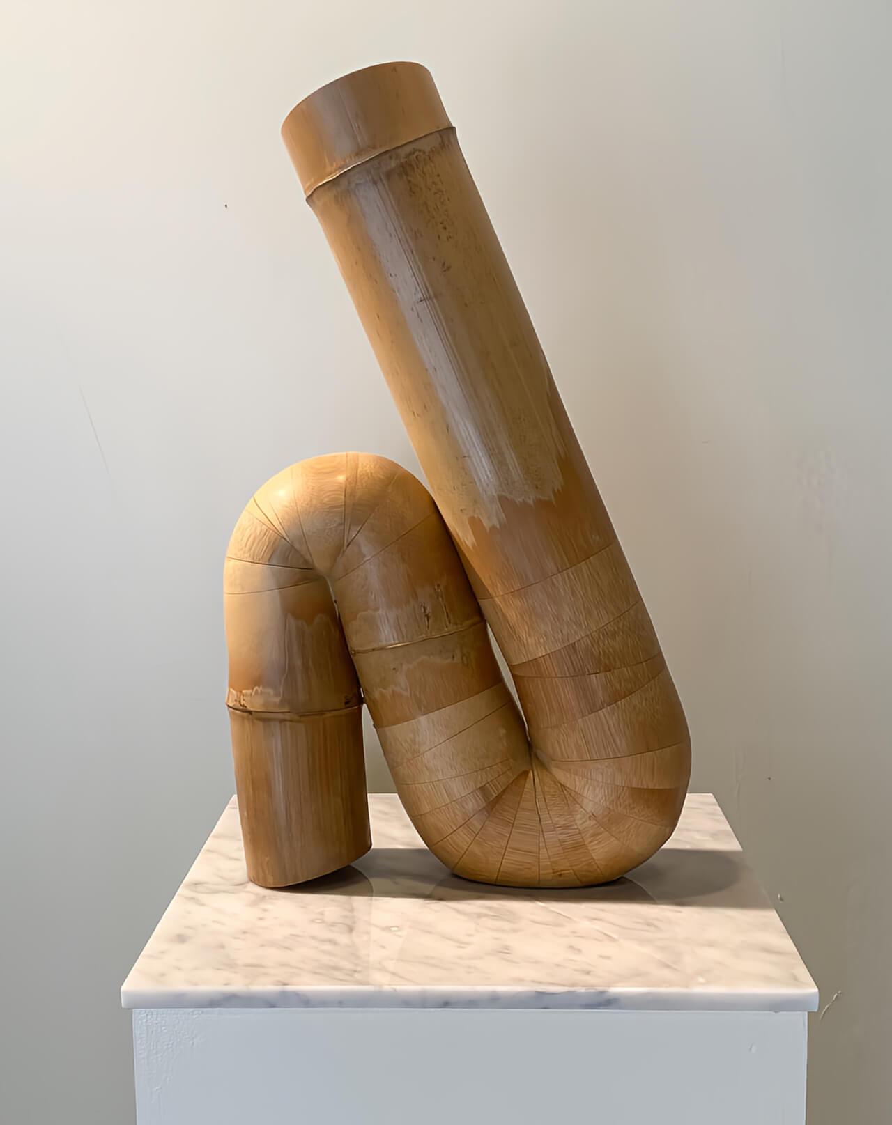 sitting bamboo No.15 _1