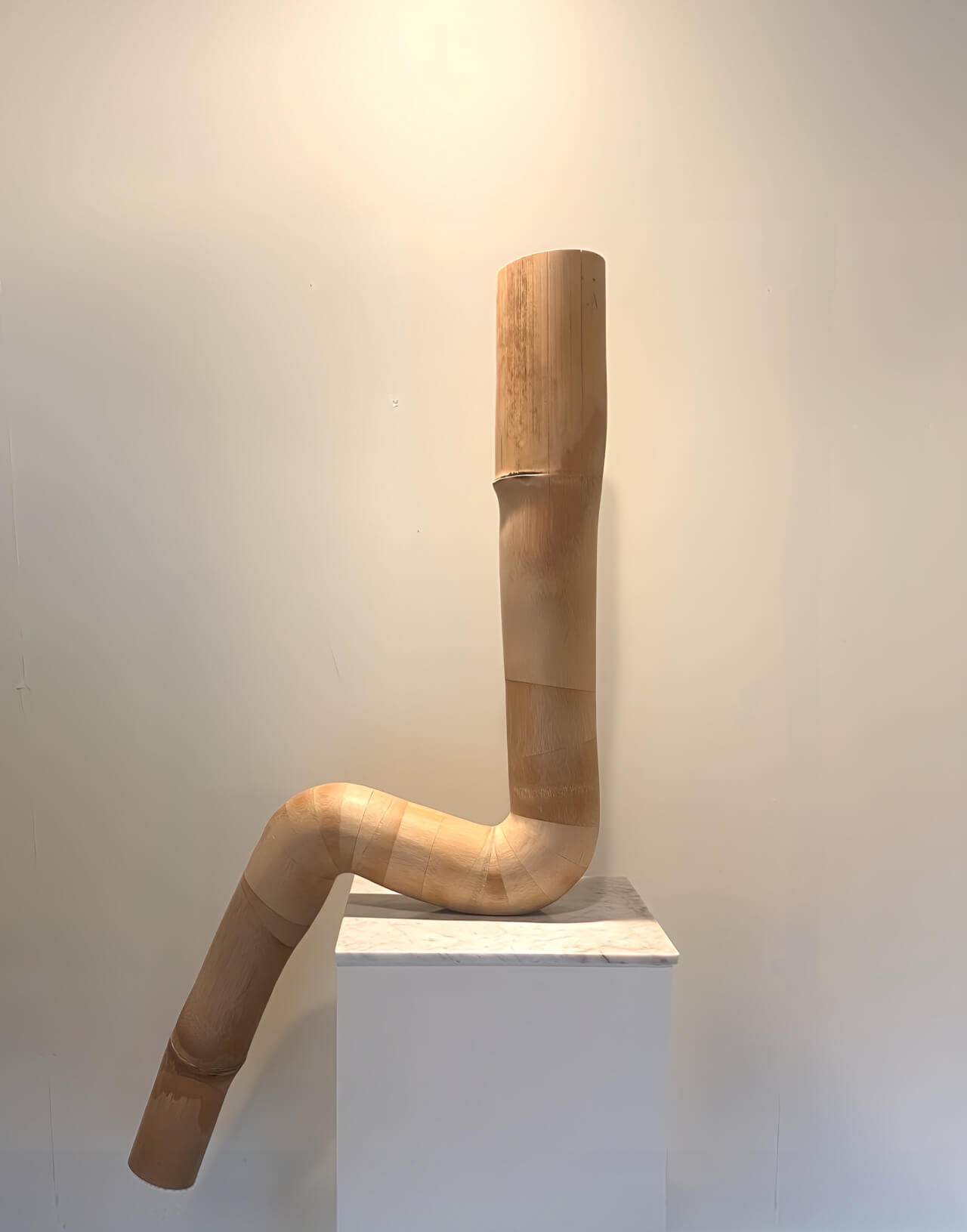 sitting bamboo No.18 _1