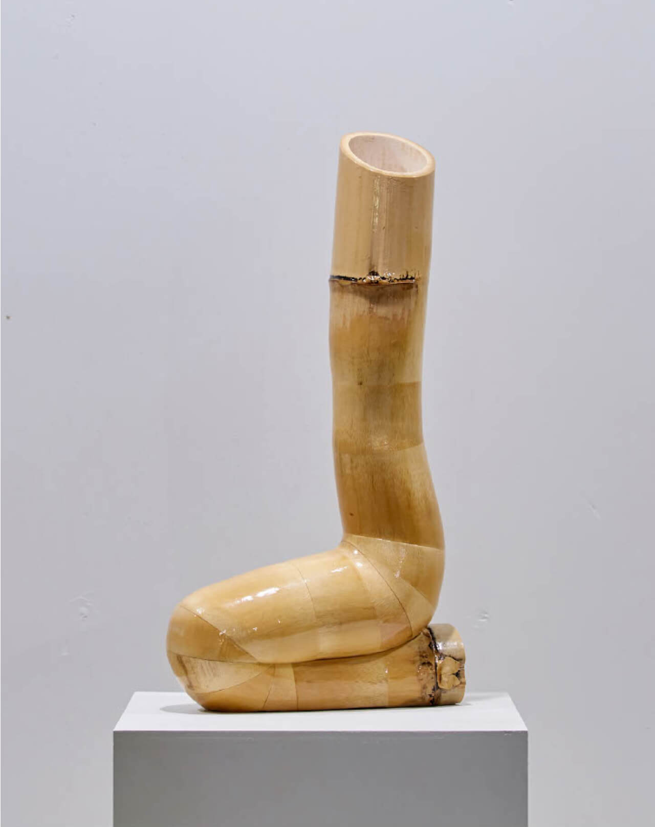 sitting bamboo _1